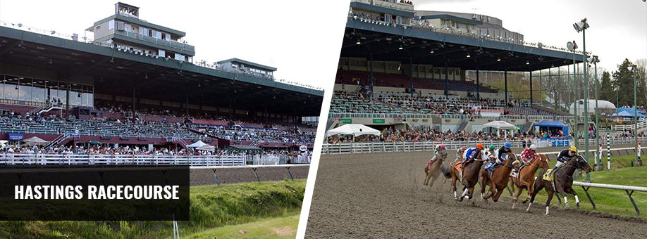 Hastings Racecourse