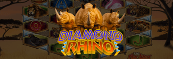 Diamond Rhino Jackpot