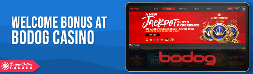 Bodog Casino Bonus