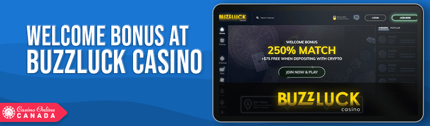 Buzzluck Casino Bonus