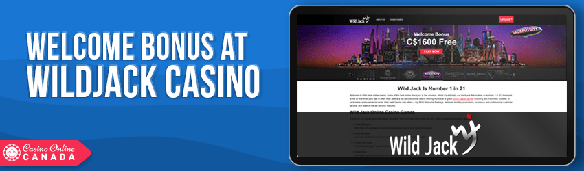 WildJack Casino Bonus