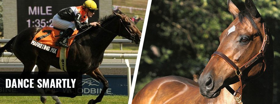 Best Race Horses in Canada