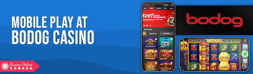 Bodog Casino Mobile