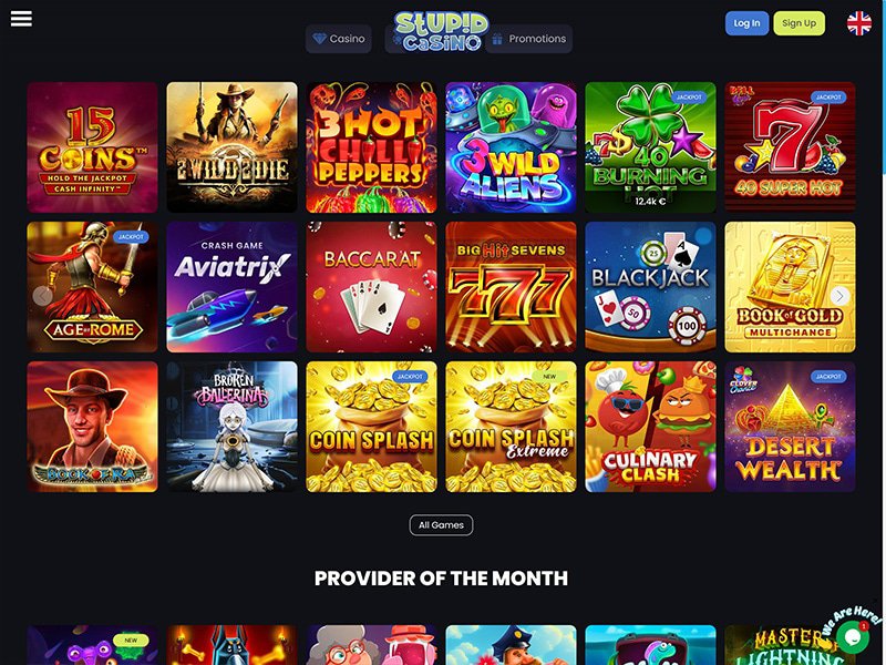Stupid Casino website