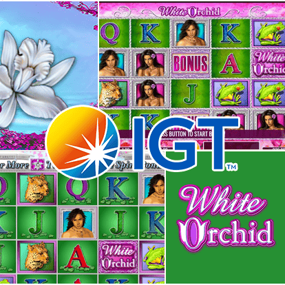 igt software